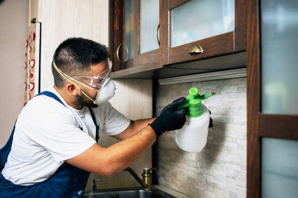 Best Best Pest Control Companies  in Kingsville, TX