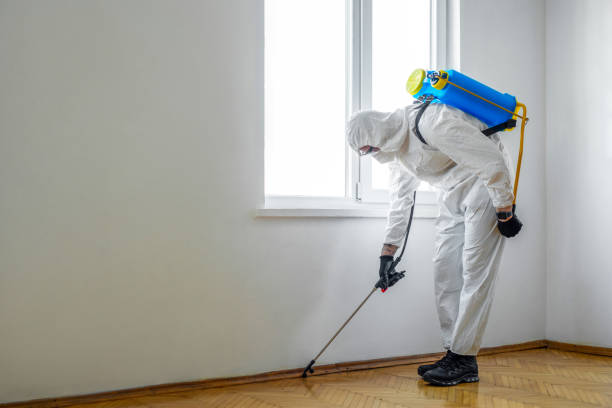 Best Affordable Pest Control Services  in Kingsville, TX