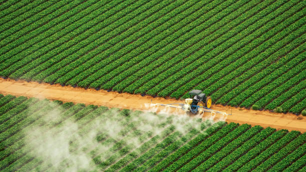 Best Best Pest Control Companies  in Kingsville, TX
