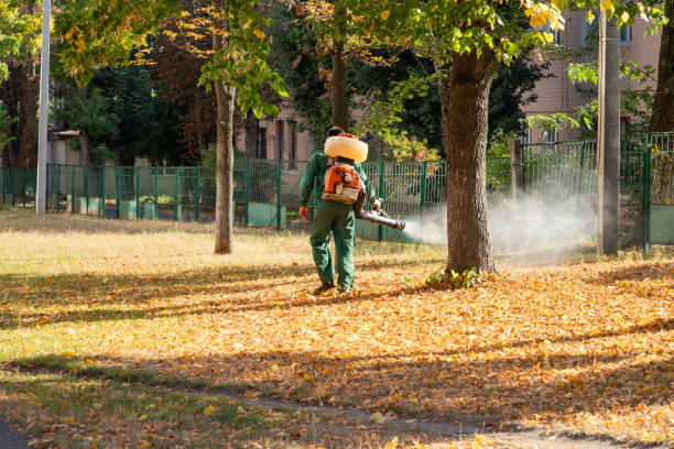 Best Cockroach Control Services  in Kingsville, TX