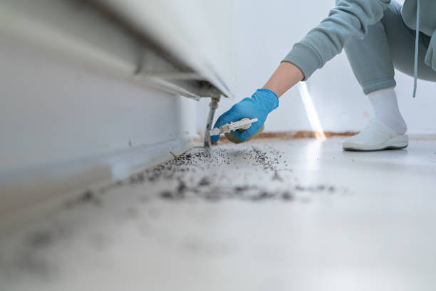 Best Bed Bug Extermination  in Kingsville, TX